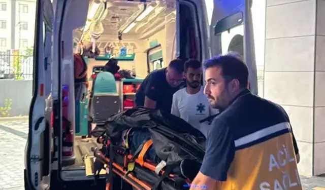 Havalı Tüfekle Komşusunu Başından Vurup Yaraladı
