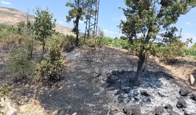 Diyarbakır’ın 3 İlçesinde Çıkan Yangınlar Söndürüldü