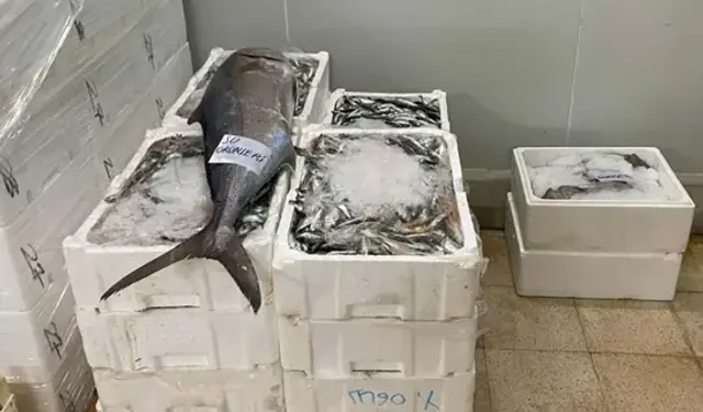 İzmir'de Yasa Dışı Su Ürünlerine El Konuldu
