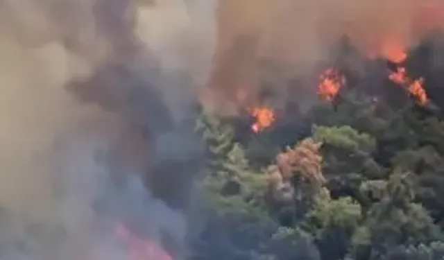 Balıkesir'de Orman Yangını Çıktı