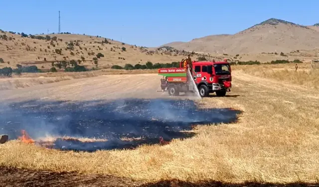 Yangında 200 Dekar Kül Oldu