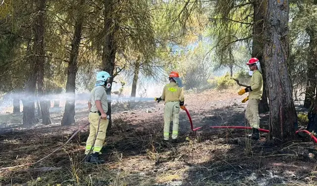 Osmaniye’de Orman Yangını Çıktı