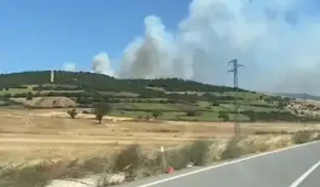 Balıkesir Susurluk’ta Orman Yangını