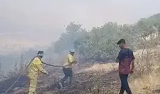 Siirt’te Örtü Yangını; 60 Dönüm Zarar Gördü