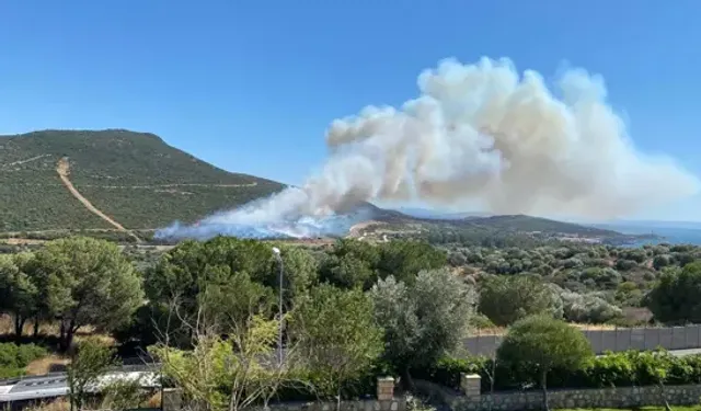 Foça'da Orman Yangını Çıktı