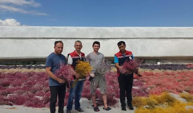 Erbaa İlçe Tarım Müdürlüğü’nden Erbaa’daki Çiçek Üreticilerine Ziyaret