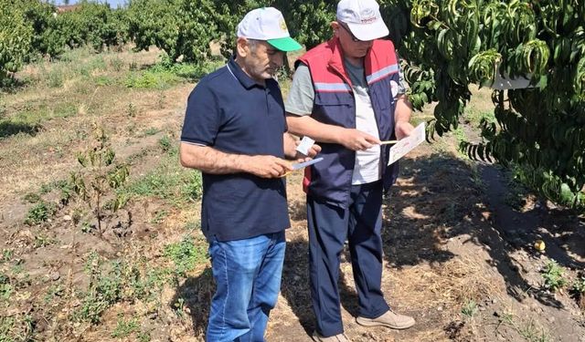 Erbaa İlçe Tarım ve Orman Müdürlüğü’nden Meyve Bahçelerinde Tuzak Kontrolü