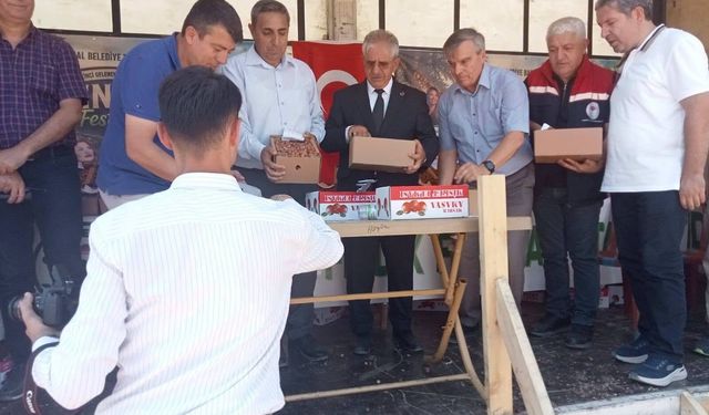 Gökal’da Fındık Coşkusu: Yılın En Kaliteli Fındıkları Ödüllendirildi