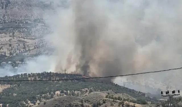 Adıyaman'da Orman Yangını
