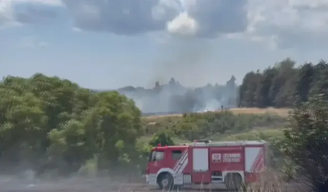 Silivri'de İki Farklı Otluk Alanda Çıkan Yangın Söndürüldü