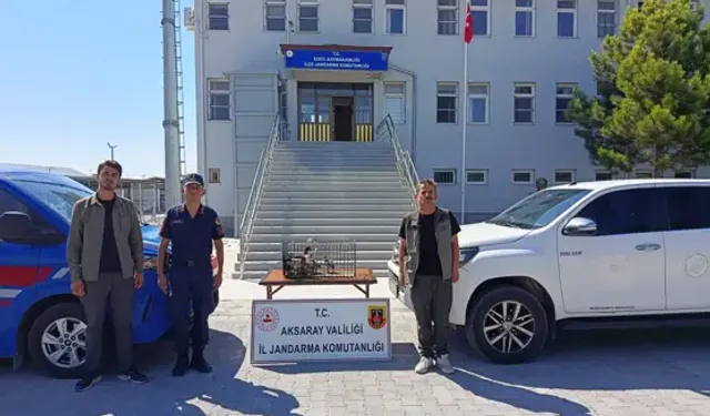 Tuz Gölü’nde Nesli Tükenen Suna Ördeği Avlayan 1 Kişiye 151 Bin 528 TL Para Cezası