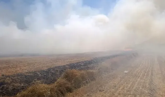 Anız Yangınını İtfaiye Söndürdü
