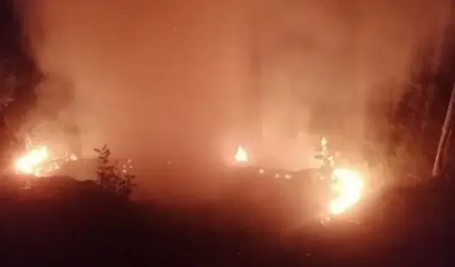 Alanya'da Orman Yangınında 2 Dönüm Alan Zarar Gördü