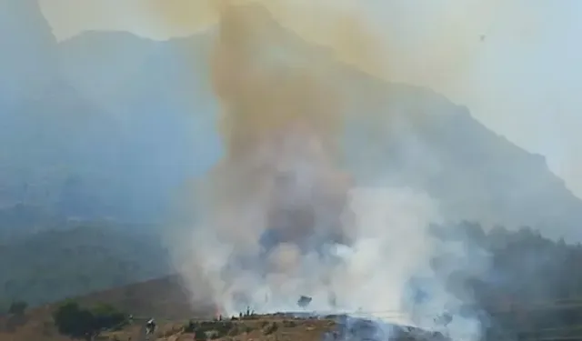 Manisa'da Orman Yangını Meydana Geldi