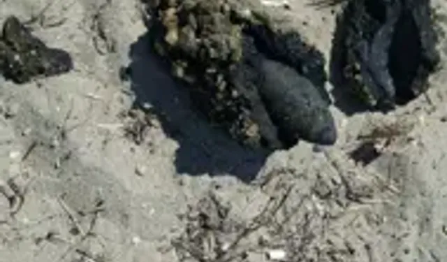 Çanakkale'de Halk Plajında Patlamamış Top Mermisi Bulundu