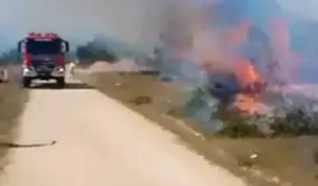 Otluk Alanda Çıkıp Ormana Sıçrayan Yangın Kontrol Altına Alındı