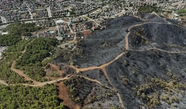 Muğla'daki Orman Yangınında Yanan Alanlar Dronla Görüntülendi