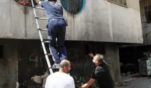 Yangından Korkup Fileye Takılan Kediyi İtfaiye Kurtardı