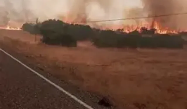 Elazığ'da Örtü Yangını