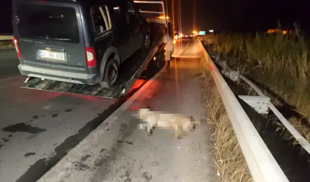 Hafif Ticari Araç Köpeğe Çarpıp Devrildi, Arkadan Gelen 5 Araç Birbirine Girdi