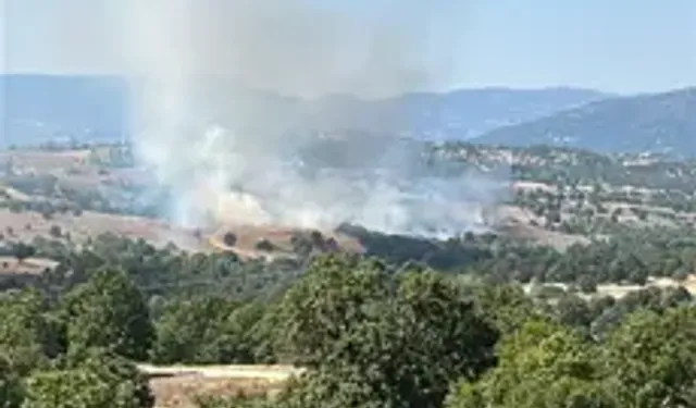 Bursa’da Orman Yangını