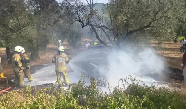 Zeytin Ağacına Çarpan Otomobil Yandı; 1 Ölü, 1’i Çocuk 5 Yaralı