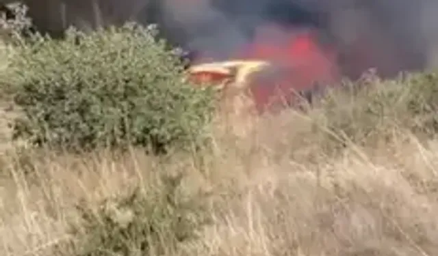 Park Halindeki Otomobilden Çıkan Yangın Otluk Alana Sıçradı