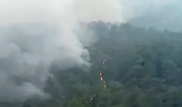 Kozan’da Başlayıp, 2 İlçeye Daha Sıçrayan Orman Yangını 3’üncü Gününde