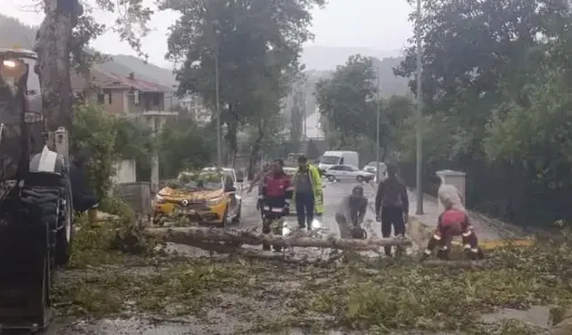 Hatay’da Aşırı Rüzgarda Devrilen Ağaç Otomobilin Üzerine Düştü