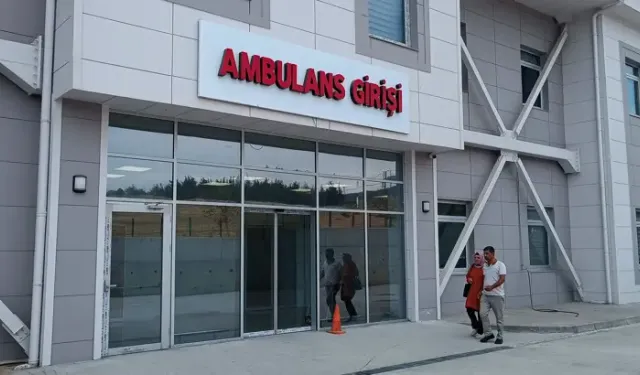Yılanın Isırdığı Çiftçi Hastaneye Kaldırıldı