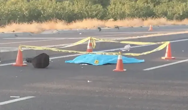 Malatya'da Otomobilin Çarptığı Kadın Öldü