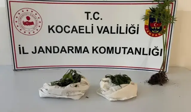 Kocaeli'de Uyuşturucu Operasyonu: 3 Gözaltı