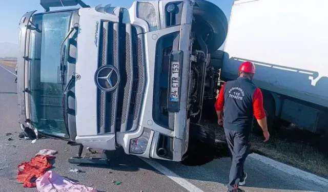 Yola Çıkan Eşek Kazaya Neden Oldu: 2 Yaralı