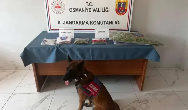 Osmaniye’de Jandarma Son Bir Haftada 142 Şüpheliyi Yakaladı