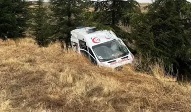 Ambulans Yoldan Çıktı; 4 Yaralı