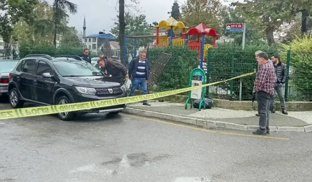 Kardeşini Tabancayla Yaralayıp, Kaçtı