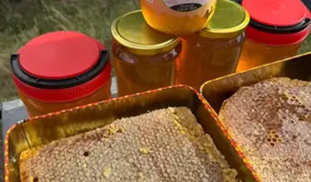 Iğdır'da Kayısı Çiçeği Balı Hasadı
