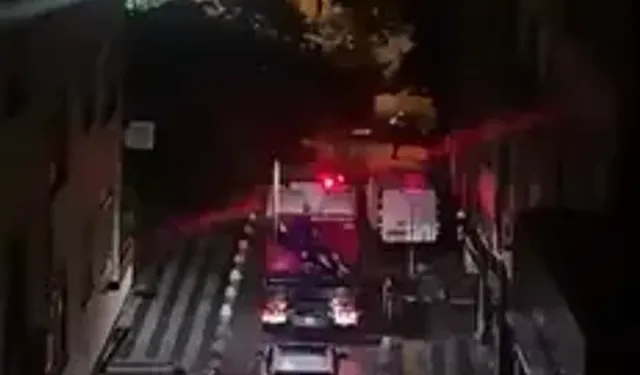 Sedir Ağacı Yola Devrildi