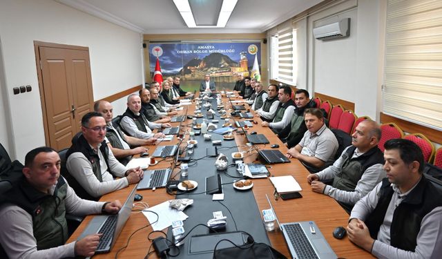 Amasya'daki Zirvede Tokat Ormanlarının Geleceği Masaya Yatırıldı