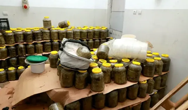 Osmangazi’de Sağlığı Tehdit Eden 6,5 Ton Gıda İmha Edildi