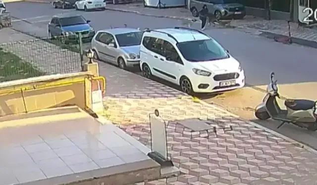 İskenderun’da Sahipsiz Köpeklerin Saldırdığı Çocuk Yaralandı