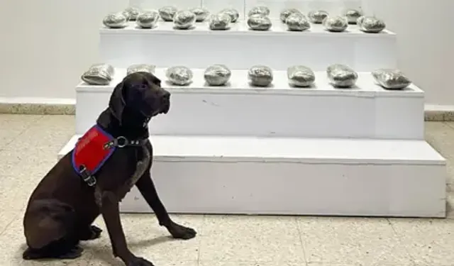 Van’da Uyuşturucu Operasyonu: 3 Gözaltı