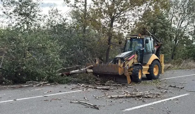 Tekirdağ'da Fırtına; Ağaç Ve Telefon Direği Devrildi