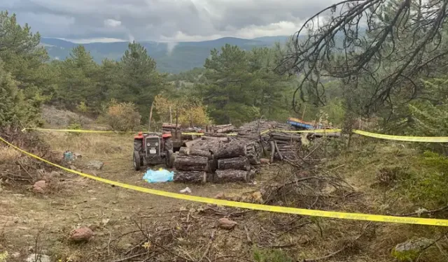 Köy İmamını Başına Odunla Vurarak Öldürdü