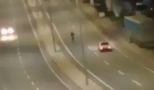 Tehlikeye Aldırış Etmeden Yolun Ortasında Yürüdü