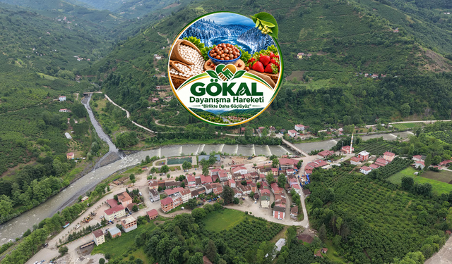 Gökal Dayanışma Hareketi Kuruluyor