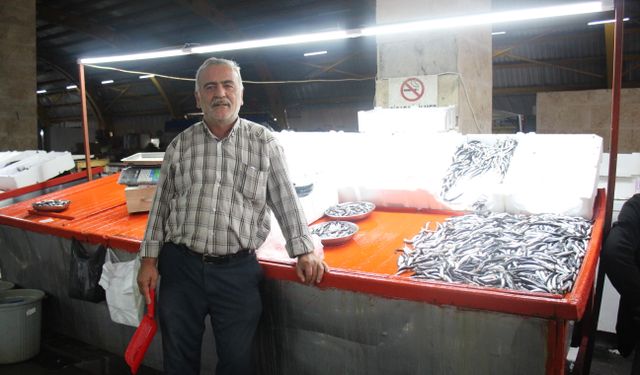 Ekim Ayı Sonunda Erbaa’da Balık Tezgâhları Hareketlendi: Hamsi 250 TL!