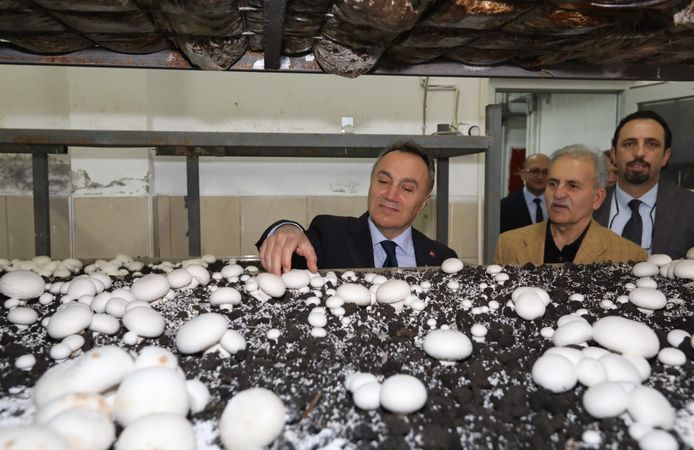 Rektör Prof. Dr. Fatih Yılmaz’dan Tokat’ta Mantar Üretim Tesisine Ziyaret
