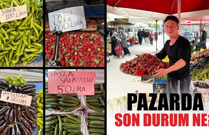 Erbaa’da Yazın Müjdecisi: Çilek Tezgâhlara İndi, İlgi Büyük!