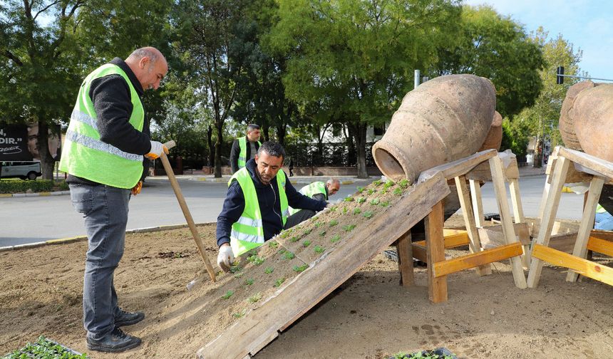 Turhal Cumhuriyetin 101. Yılı Anısına 101 Bin Çiçek İle Donatıldı